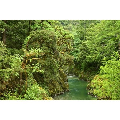 USA, Oregon, Elk River